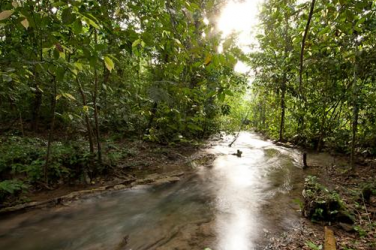 Natura y Ecosistemas Mexicanos  – A Barlovento Informa